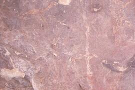 RARI LEE RSA UTY1 20