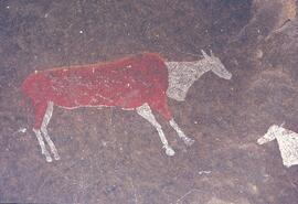 RARI LEE RSA GEN1 18