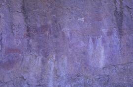 RARI LEE RSA COR1 23