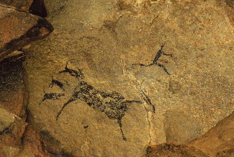 Open original Digital object