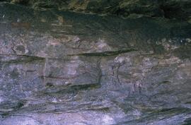 RARI LEE RSA REE1 10