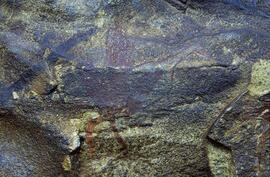 RARI LEE RSA BEN1 34