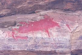 RARI LEE RSA GEN1 16