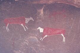 RARI LEE RSA GEN1 19