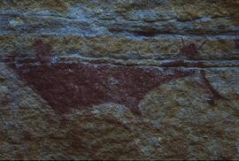 RARI LEE RSA BEN1 39