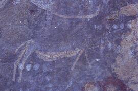 RARI LEE RSA LEL3 16