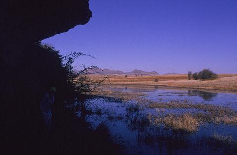 Open original Digitaal object