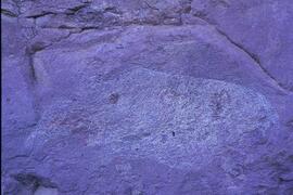 RARI LEE RSA ALA4 23