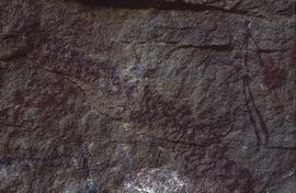 RARI LEE RSA BEN1 33