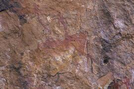 RARI LEE RSA COR1 25