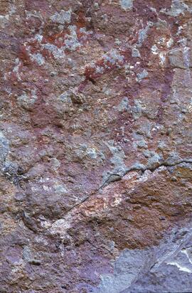 RARI LEE RSA STP3 22