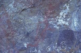 RARI LEE RSA NAU1 35