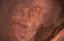 RARI LEE RSA LAD1 20