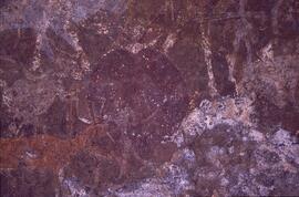 RARI LEE RSA BOA1 116