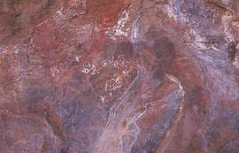 RARI LEE RSA NAU1 39