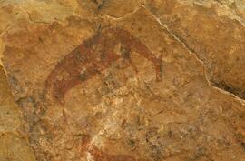 RARI LEE RSA FOB1 14