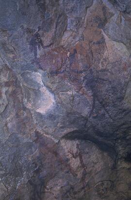 RARI LEE RSA FUE2 25