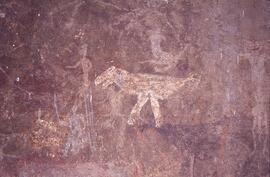 RARI LEE RSA BOA1 56