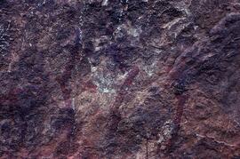 RARI LEE RSA CHR1 46