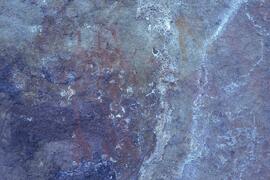 RARI LEE RSA NAU1 37