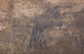 RARI LEE RSA GRE1 39