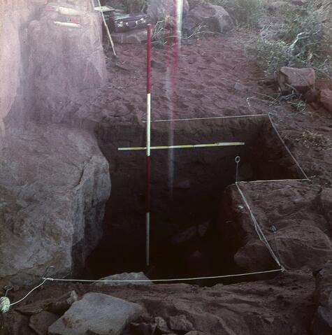 Open original Digital object