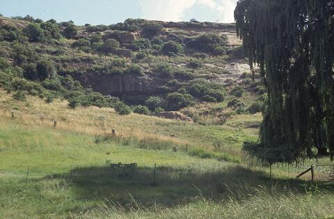 Open original Digital object