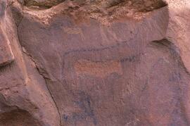 RARI LEE RSA BEI1 31