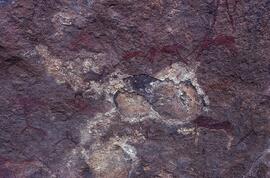 RARI LEE RSA CHR1 48