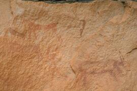 RARI LEE RSA HAO1 15