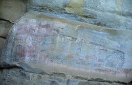 RARI LEE RSA VLS2 56