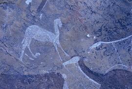 RARI LEE RSA HOR1 16