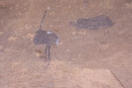 RARI LEE RSA TOL1 17