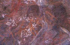 RARI LEE RSA NAU1 40