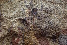 RARI LEE RSA MCU2 36