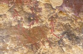 RARI LEE RSA FOB1 25