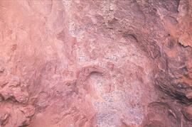 RARI LEE RSA FUE1 20