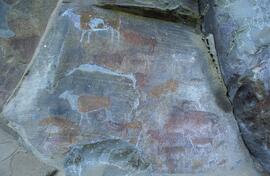 RARI LEE RSA VLS2 55