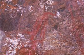 RARI LEE RSA NAU1 43