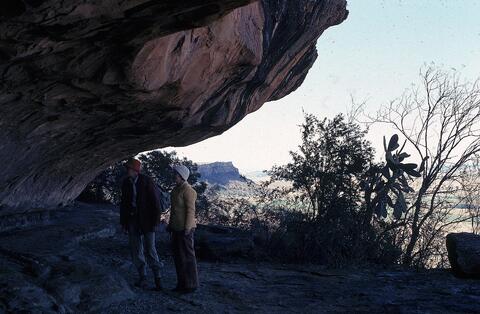 Open original Digital object