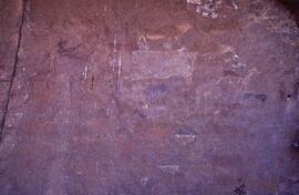 RARI LEE RSA BOA1 93