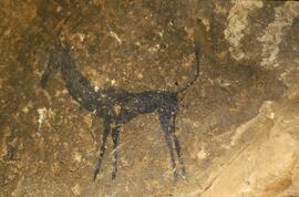 RARI LEE RSA FOB1 23