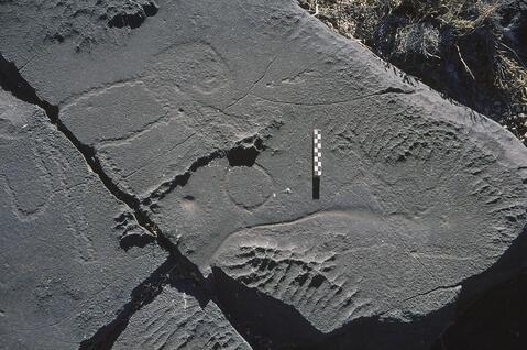 Open original Digitaal object