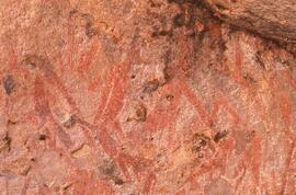 RARI LEE RSA MRI1 80