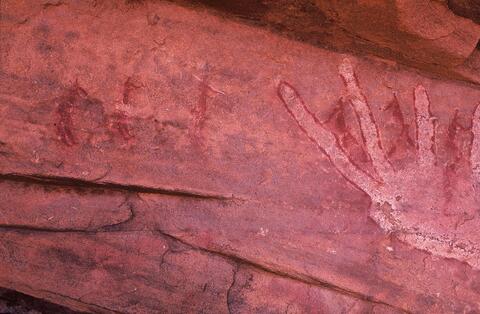 Open original Digital object