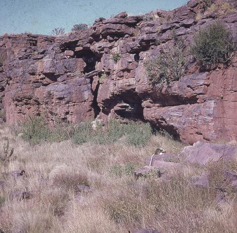 Open original Digital object