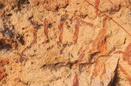 RARI LEE RSA MRI1 79