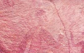 RARI LEE RSA BAD1 20