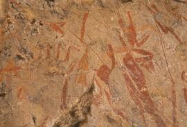 RARI LEE RSA MRI1 66