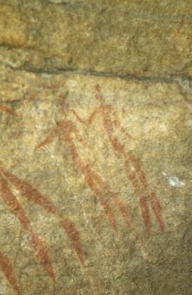 RARI LEE RSA BSC1 22